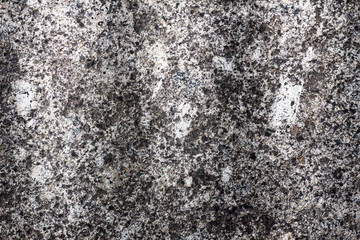 Stone texture background for interior or exterior design with copy space for text or image. Stone motifs that occurs natural.
