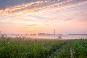 Fototapeta na wymiar Early morning sunsrise at field with fog in summer