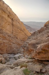 Desert landscape