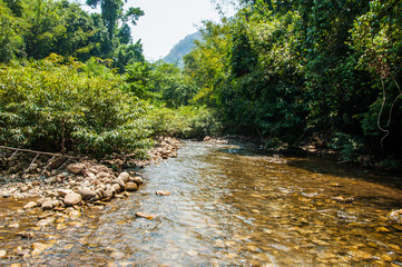 Amazing Nature Road on River in Forest, Sangkhaburi, Thailand