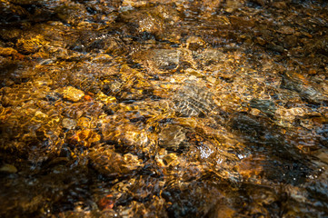 Beautiful Clear Water with Colorful and Sunlight Background
