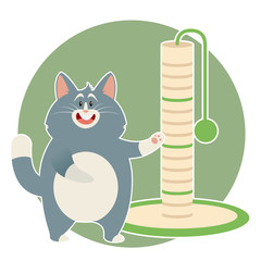 Cat and its Scratching Posts