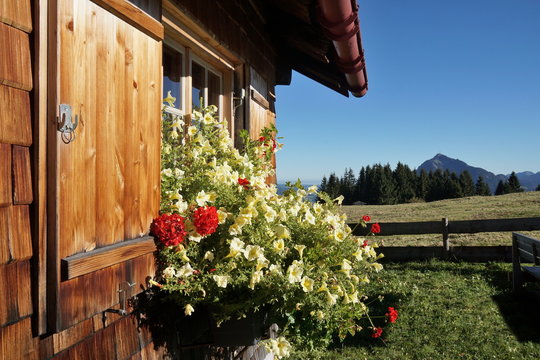 Fenster von Berghütte mit Blumen