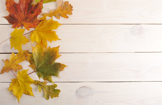autumn leaves on wooden background with blank place for text