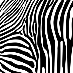 Zebra  pattern vector