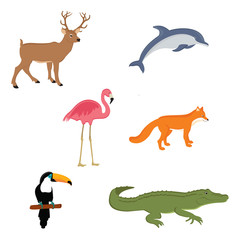 Wild animals collection