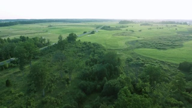 flying above green forest at summer time
