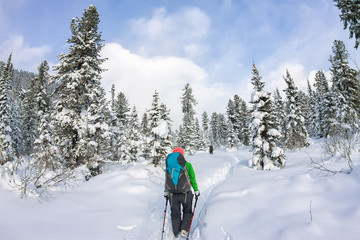 Fototapeta na wymiar Girl backpacker walking on a forest road in the winter forest in