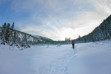 Girl backpacker walking on a forest road in the winter forest in