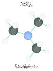 Trimethylamine C3H9N molecule