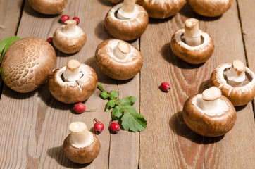 Fresh mushrooms with leaves of arugula