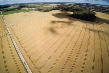 Midsummer day in Latvian countryside.