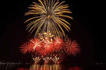 Naklejka premium Multicolor Firework Celebration