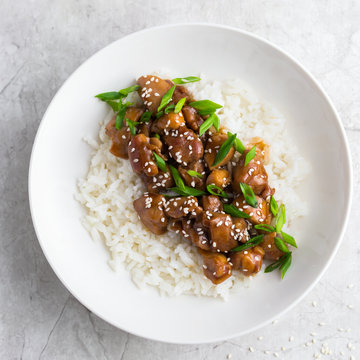 teriyaki chicken with rice, served with sesame seeds and chopped