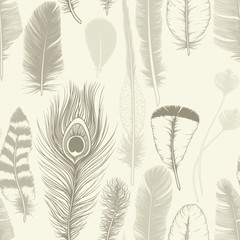 Vintage set feathers. Seamless pattern. Hand drawing. Vector ill
