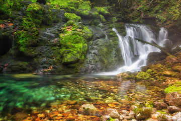 Naklejka premium waterfall among rocks covered with green moss