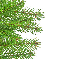 Christmas green framework isolated on white background