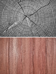 Wood texture. Lining boards wall. Wooden background. pattern. Showing growth rings. set, groupings