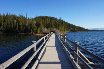 Obraz premium Bridge Wilderness