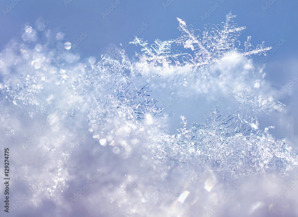 Poster snowflakes macro close-up in the winter outdoors. blue background snow texture, brilliant sparkling 
