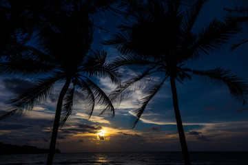 Fototapeta premium sunset on the beach