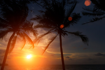 Fototapeta premium sunset on the beach