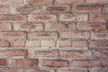 Red brick wall background.