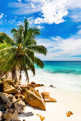 Amazing tropical beach