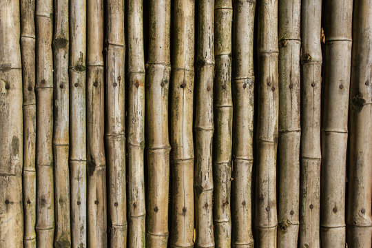 Brown bamboo wall background.