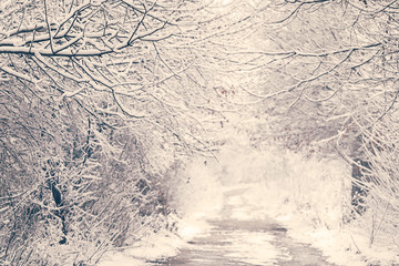 Winter landscape vintage style colors.