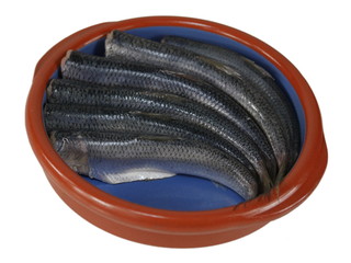  fresh fishes herrings