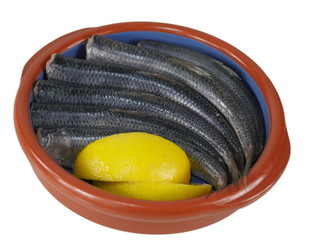 fresh fishes herrings