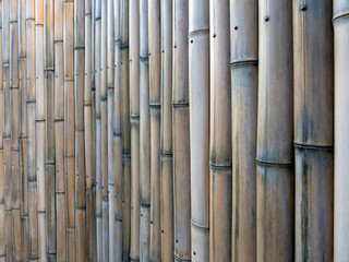 Fragment of a fence made of bamboo sticks