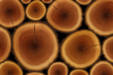 Background with tree trunk, round cut with annual rings.