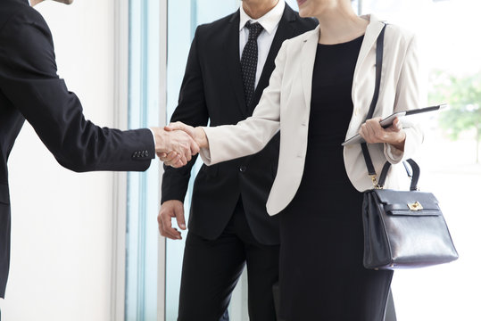 Businesswoman being introduced to business associate