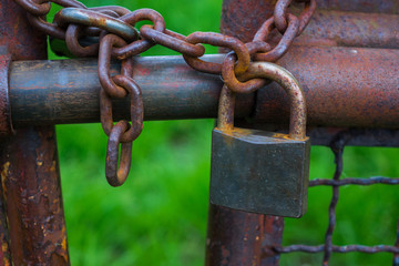 The old and rusty lock on metal gate