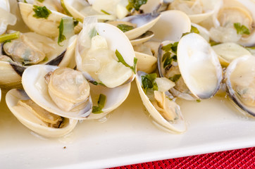 Clams