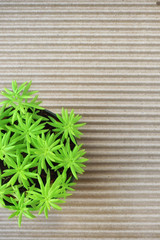 Trees on corrugated paper background, energy living concept and save the earth idea