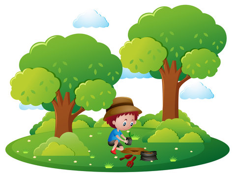Boy planting tree in park
