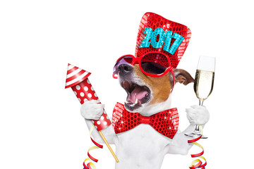 happy new year dog celberation