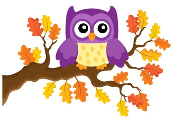 Autumn owl theme image 1