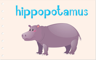 Animal wordcard with hippopotamus