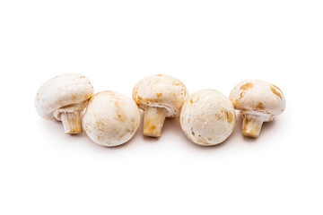 Five Organic Champignon Mushrooms in a Row Isolated on White