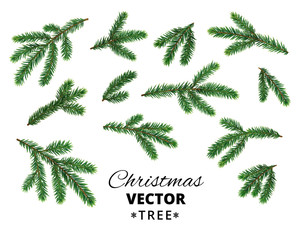 Obraz premium Realistic Christmas tree branches isolated on white background.