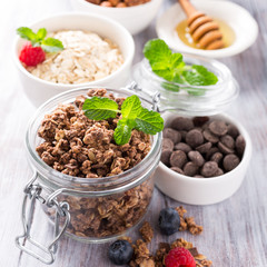 Homemade chocolate granola ingredients, nuts, oats, honey and berries on white wooden background. Healthy breakfast concept.