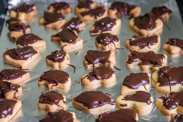 delicious cookies with chocolate for baking sheet