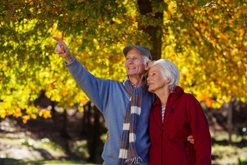 Senior man pointing while standing with woman