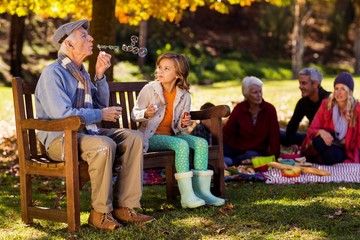 Grandfather blowing bubbles with granddaughter at park