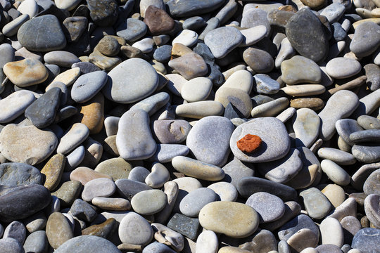 pebbles on the beach, background