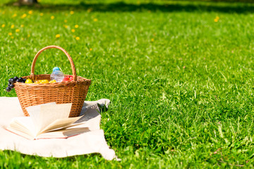 basket for a picnic on the lawn and the free space on the right